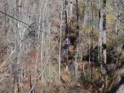 Ziplining through the forest Stock Footage