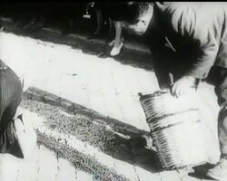 ARTISTIC FLOWER ROADWAYS News Clip