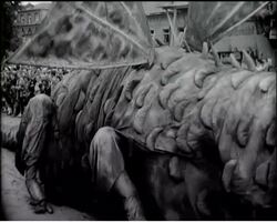 ANIMAL NEWS News Clip