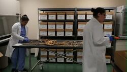 Unidentified bones of Mexican migrants in lab News Clip