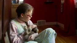 Michaela Butin plays with her bunny in Boston, Massachusetts. Stock Footage