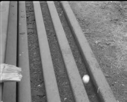 BUNKERED AT BIRKENHEAD News Clip