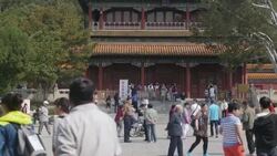 2015 Peony Festival attracts tourists Stock Footage