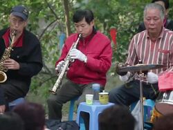 LS People playing musical instruments in park/xian,shaanxi,China Stock Footage