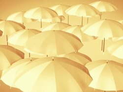 Umbrella, leader, unique, boss, individuality, original, special. Stock Footage
