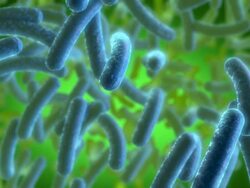 Blue Bacterias Stock Footage