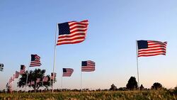American Flags Stock Footage