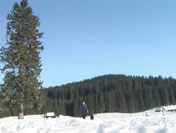 HD: Running InThe Countryside Stock Footage