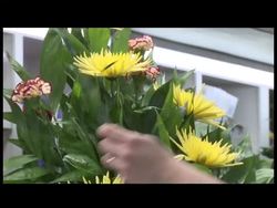 The AP''s Carolyn Kaster visits a flower shop in Beckley, W.Va. that is handling orders for funerals of coal miners killed in a mine explosion. News Clip