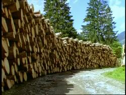 MS logging machine moving logs onto pile, Tyrol, Austria Stock Footage