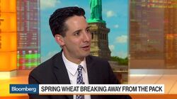 Spring Wheat Leading Charge in Agriculture Rebalancing News Clip