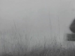 MS Soldiers fighting and running from trenches AUDIO / Sevastopol, Ukraine Stock Footage