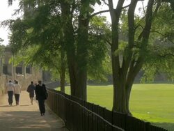 Merton College, walkway,MS Stock Footage