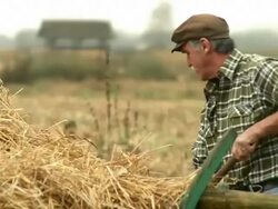 HD: Farmer Working Stock Footage