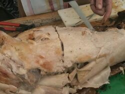 suckling Stock Footage