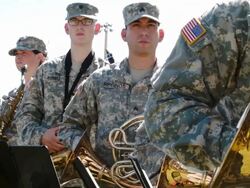 Veterans Day Parade Winds Through Miami Beach Stock Footage