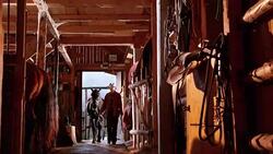 DS Female rancher leading her horse into the stable Stock Footage