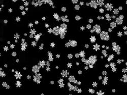 Snow Falling affected by wind (christmas) Stock Footage