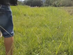 Dog catches bone to owner Stock Footage