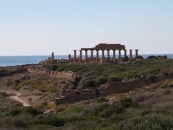 Selinunte, Acropolis, general  view of the fortifications  Stock Footage