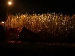Combine Harvesting Fall Cornfield at Night Stock Footage