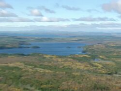 WS ARIEAL ZI View of Forest and lake / Maine, United States Stock Footage