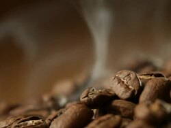 Coffee beans Stock Footage