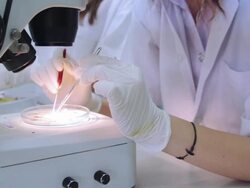 Medical students using a microscope to see bacteria,Close-up Stock Footage