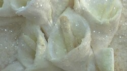 Contestants compete to design most stylish toilet paper dress News Clip