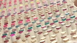 Focus on faces at London's Beauty Show Instructional Video