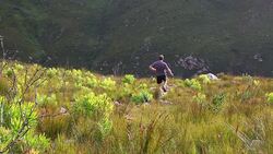 Male trail runner runs quickly down a mountain trail Stock Footage