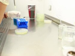Scientist and bio lab experiment Stock Footage