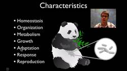 The Three Domains of Life Instructional Video