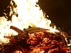 celebrating new year with wood burning Stock Footage