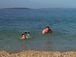 HD: Out Of The Water Stock Footage