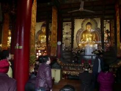 MS Pilgrims praying to Golden Buddha's in Grand Hall of temple during Chinese Lunar New Year /xi'an, shaanxi, china Stock Footage