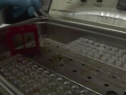 Medium Close Up hand-held zoom-in zoom-out - A technician places a sample into forensics laboratory equipment. / USA Stock Footage