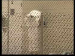 Three detainees found dead after apparently committing suicide Instructional Video