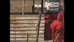 Red Ants Dismantle Townships near Johannesburg News Clip