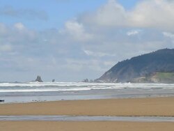 Oregon coast Stock Footage