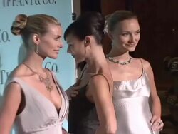 Tiffany & Co - Launch of the 2008 Blue Book Collection Stock Footage
