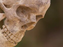 Close Up hand-held - A human skull is displayed/Singapore Stock Footage