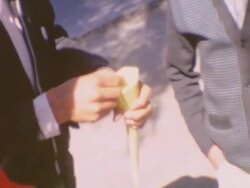 Blue Agave Demonstration Stock Footage