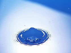 MS SLO MO Drop of Water falling into Water / Vieux Pont en Auge, Normandy, France  Stock Footage