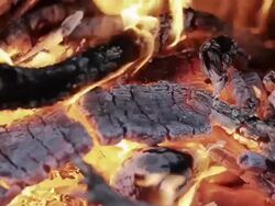 cor barbecue fire Stock Footage