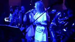 The band. Stock Footage