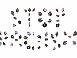 HD: Stop Racism Stock Footage