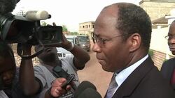 CLEAN: Mali president formally resigns: mediator News Clip