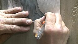 CLEAN : Strauss Kahn denies knowing he had sex with prostitutes News Clip