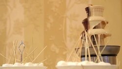 Chocolate fountain Stock Footage